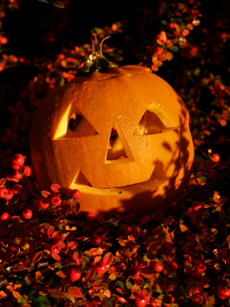 Samhain Pumpkin Lantern