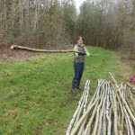 Lisa builds the pole pile