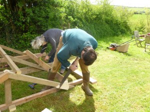 Sawing in the sunshine