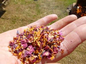 A handful of petals to bless the fire