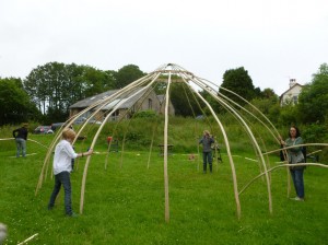 Fitting the poles